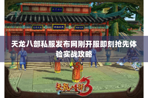 天龙八部私服发布网刚开服即刻抢先体验实战攻略