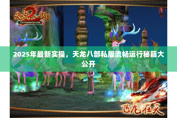 2025年最新实操,天龙八部私服流畅运行秘籍大公开 2025年最新实操,天龙八部私服流畅运行秘籍大公开