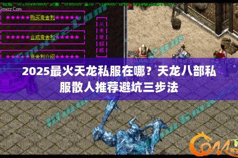 2025最火天龙私服在哪?天龙八部私服散人推荐避坑三步法 2025最火天龙私服在哪?天龙八部私服散人推荐避坑三步法