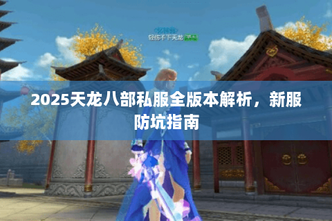 2025天龙八部私服全版本解析,新服防坑指南 2025天龙八部私服全版本解析,新服防坑指南
