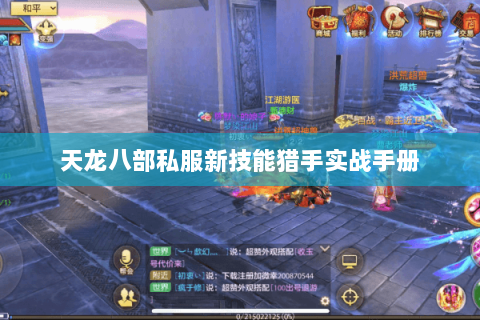 天龙八部私服新技能猎手实战手册 天龙八部私服新技能猎手实战手册