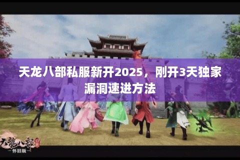 天龙八部私服新开2025，刚开3天独家漏洞速进方法