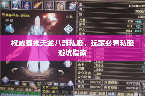 权威强推天龙八部私服,玩家必看私服避坑指南 权威强推天龙八部私服,玩家必看私服避坑指南