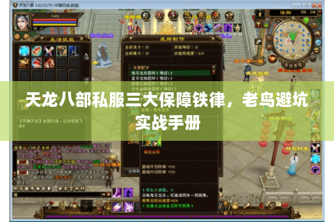 天龙八部私服三大保障铁律,老鸟避坑实战手册 天龙八部私服三大保障铁律,老鸟避坑实战手册