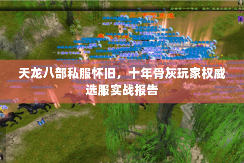 天龙八部私服怀旧,十年骨灰玩家权威选服实战报告 天龙八部私服怀旧,十年骨灰玩家权威选服实战报告