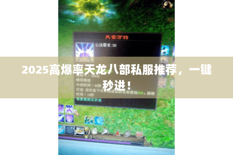 2025高爆率天龙八部私服推荐，一键秒进！