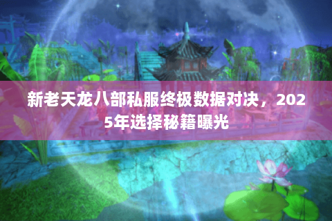 新老天龙八部私服终极数据对决，2025年选择秘籍曝光
