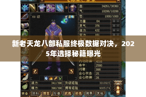 新老天龙八部私服终极数据对决，2025年选择秘籍曝光