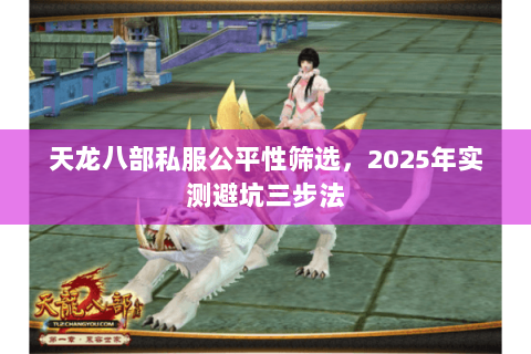 天龙八部私服公平性筛选,2025年实测避坑三步法 天龙八部私服公平性筛选,2025年实测避坑三步法