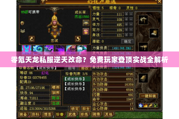 零氪天龙私服逆天改命?免费玩家登顶实战全解析 零氪天龙私服逆天改命?免费玩家登顶实战全解析