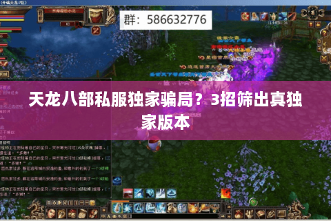 天龙八部私服独家骗局?3招筛出真独家版本 天龙八部私服独家骗局?3招筛出真独家版本