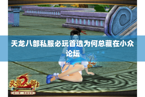 天龙八部私服必玩首选为何总藏在小众论坛 天龙八部私服必玩首选为何总藏在小众论坛