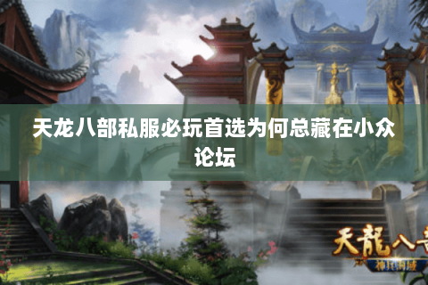 天龙八部私服必玩首选为何总藏在小众论坛 天龙八部私服必玩首选为何总藏在小众论坛