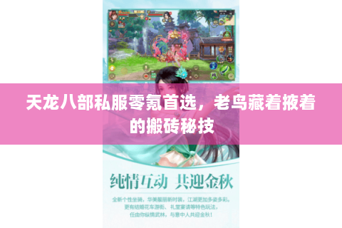 天龙八部私服零氪首选,老鸟藏着掖着的搬砖秘技 天龙八部私服零氪首选,老鸟藏着掖着的搬砖秘技