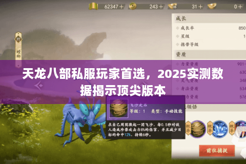 天龙八部私服玩家首选,2025实测数据揭示顶尖版本 天龙八部私服玩家首选,2025实测数据揭示顶尖版本