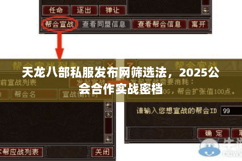 天龙八部私服发布网筛选法，2025公会合作实战密档