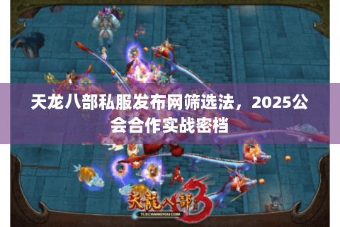 天龙八部私服发布网筛选法，2025公会合作实战密档