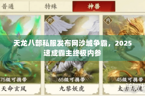 天龙八部私服发布网沙城争霸,2025速成霸主终极内参 天龙八部私服发布网沙城争霸,2025速成霸主终极内参