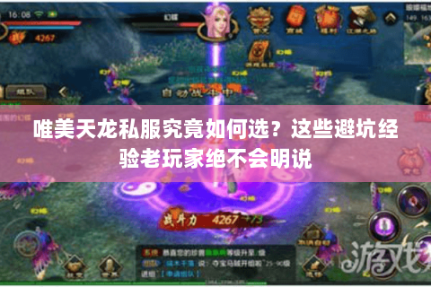 唯美天龙私服究竟如何选?这些避坑经验老玩家绝不会明说 唯美天龙私服究竟如何选?这些避坑经验老玩家绝不会明说