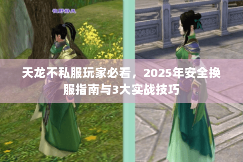 天龙不私服玩家必看，2025年安全换服指南与3大实战技巧