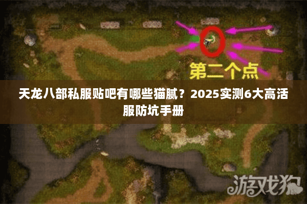 天龙八部私服贴吧有哪些猫腻?2025实测6大高活服防坑手册 天龙八部私服贴吧有哪些猫腻?2025实测6大高活服防坑手册