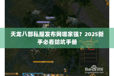 天龙八部私服发布网哪家强?2025新手必看防坑手册 天龙八部私服发布网哪家强?2025新手必看防坑手册