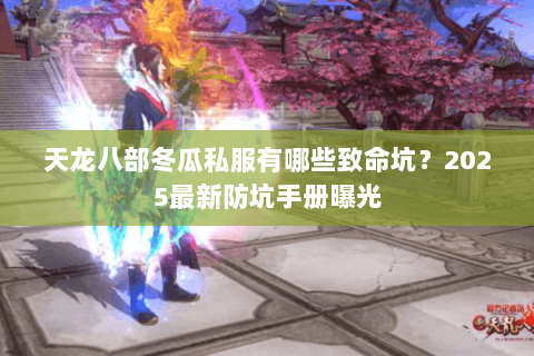 天龙八部冬瓜私服有哪些致命坑?2025最新防坑手册曝光 天龙八部冬瓜私服有哪些致命坑?2025最新防坑手册曝光