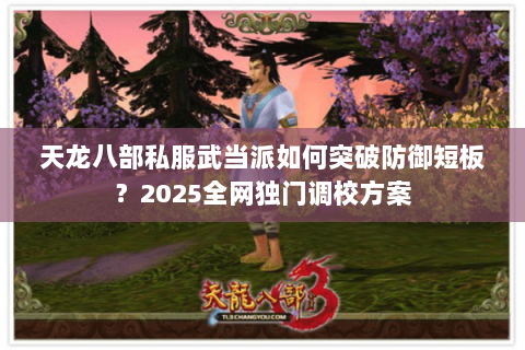 天龙八部私服武当派如何突破防御短板?2025全网独门调校方案 天龙八部私服武当派如何突破防御短板?2025全网独门调校方案
