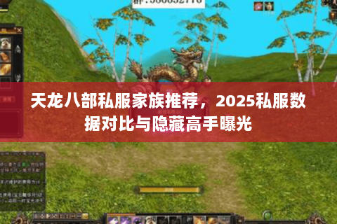 天龙八部私服家族推荐,2025私服数据对比与隐藏高手曝光 天龙八部私服家族推荐,2025私服数据对比与隐藏高手曝光