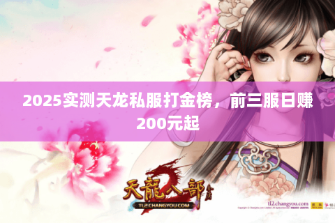 2025实测天龙私服打金榜,前三服日赚200元起 2025实测天龙私服打金榜,前三服日赚200元起
