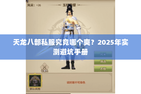 天龙八部私服究竟哪个爽?2025年实测避坑手册 天龙八部私服究竟哪个爽?2025年实测避坑手册