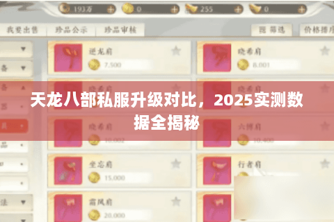 天龙八部私服升级对比,2025实测数据全揭秘 天龙八部私服升级对比,2025实测数据全揭秘
