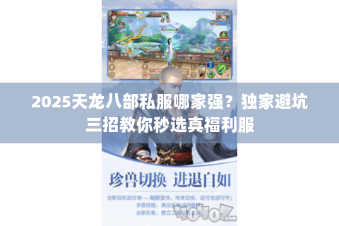 2025天龙八部私服哪家强?独家避坑三招教你秒选真福利服 2025天龙八部私服哪家强?独家避坑三招教你秒选真福利服