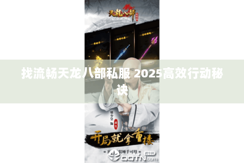 找流畅天龙八部私服 2025高效行动秘诀