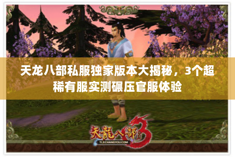 天龙八部私服独家版本大揭秘,3个超稀有服实测碾压官服体验 天龙八部私服独家版本大揭秘,3个超稀有服实测碾压官服体验