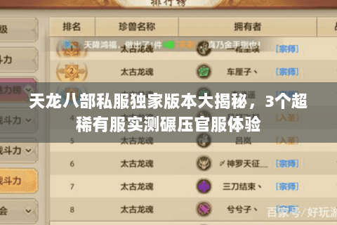 天龙八部私服独家版本大揭秘,3个超稀有服实测碾压官服体验 天龙八部私服独家版本大揭秘,3个超稀有服实测碾压官服体验