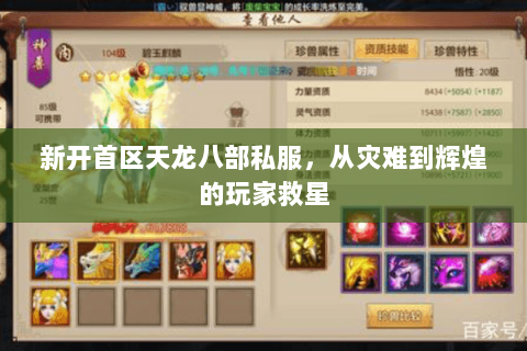 新开首区天龙八部私服，从灾难到辉煌的玩家救星