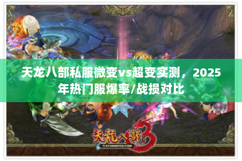 天龙八部私服微变vs超变实测,2025年热门服爆率/战损对比 天龙八部私服微变vs超变实测,2025年热门服爆率/战损对比