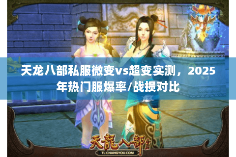 天龙八部私服微变vs超变实测,2025年热门服爆率/战损对比 天龙八部私服微变vs超变实测,2025年热门服爆率/战损对比