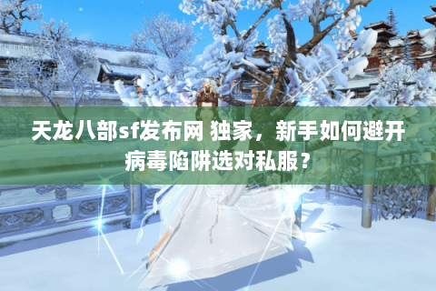 天龙八部sf发布网 独家，新手如何避开病毒陷阱选对私服？