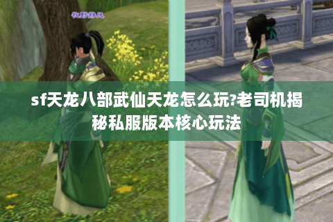 sf天龙八部武仙天龙怎么玩?老司机揭秘私服版本核心玩法 sf天龙八部武仙天龙怎么玩?老司机揭秘私服版本核心玩法