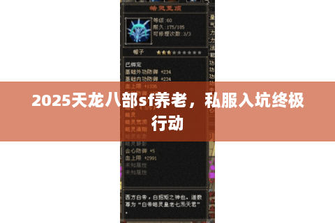 2025天龙八部sf养老,私服入坑终极行动 2025天龙八部sf养老,私服入坑终极行动