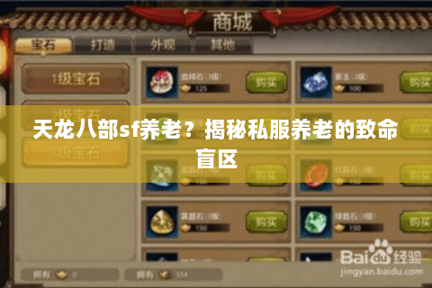 天龙八部sf养老?揭秘私服养老的致命盲区 天龙八部sf养老?揭秘私服养老的致命盲区