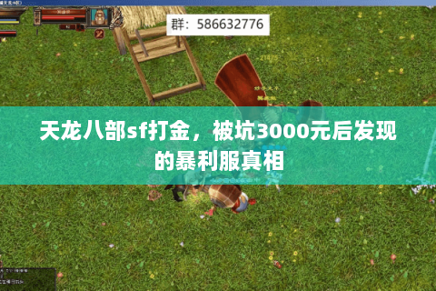 天龙八部sf打金,被坑3000元后发现的暴利服真相 天龙八部sf打金,被坑3000元后发现的暴利服真相