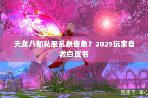 天龙八部私服乱象告急？2025玩家自救白皮书