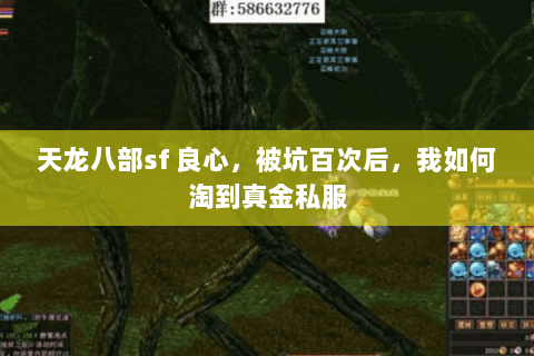 天龙八部sf 良心,被坑百次后,我如何淘到真金私服 天龙八部sf 良心,被坑百次后,我如何淘到真金私服