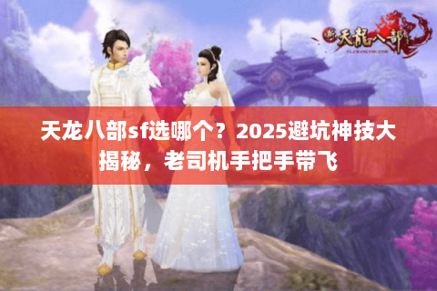 天龙八部sf选哪个？2025避坑神技大揭秘，老司机手把手带飞
