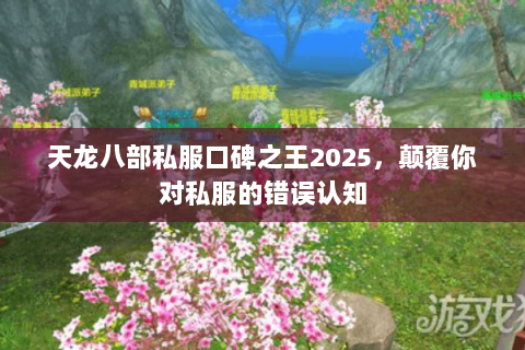 天龙八部私服口碑之王2025,颠覆你对私服的错误认知 天龙八部私服口碑之王2025,颠覆你对私服的错误认知