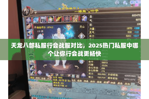 天龙八部私服行会战服对比,2025热门私服中哪个让你行会战更畅快 天龙八部私服行会战服对比,2025热门私服中哪个让你行会战更畅快