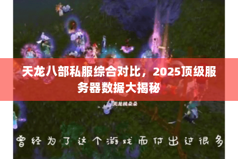 天龙八部私服综合对比,2025顶级服务器数据大揭秘 天龙八部私服综合对比,2025顶级服务器数据大揭秘